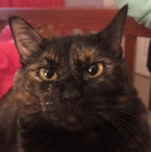 Meet your Posher, Emma